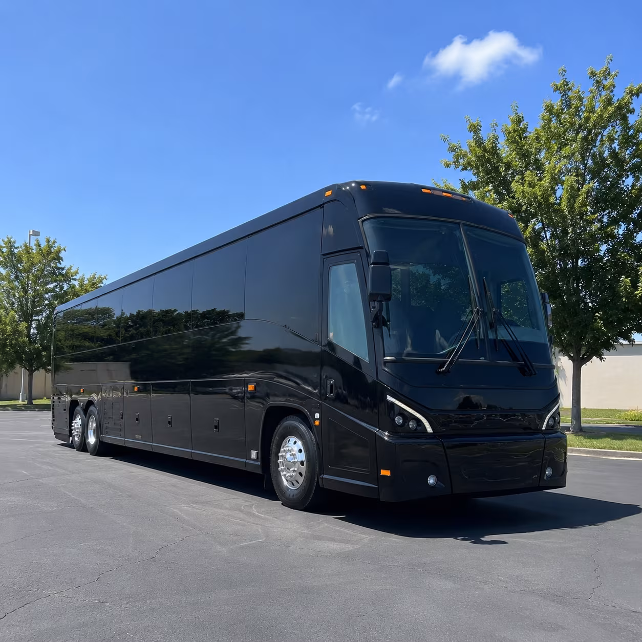 ontario 56 passenger charter bus